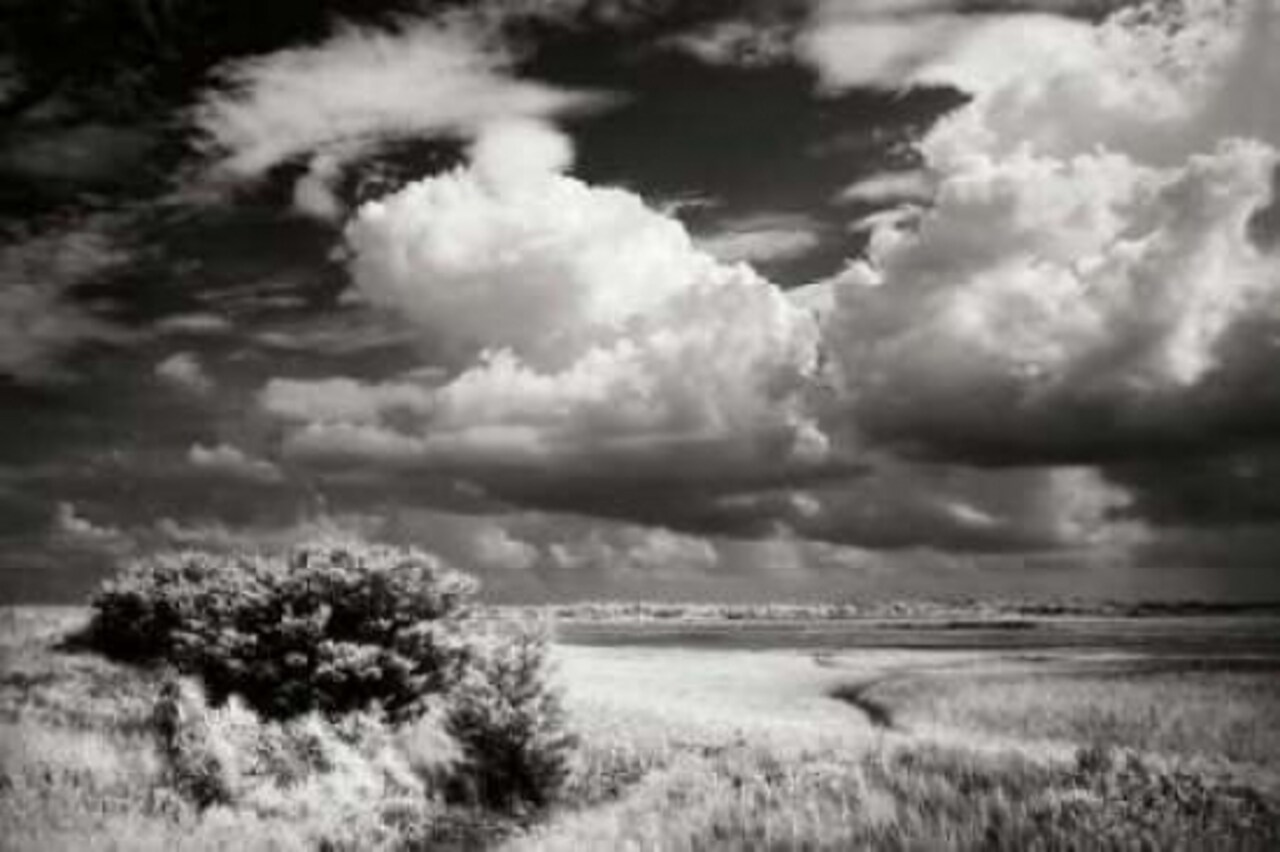 Everette Bay I Poster Print by Alan Hausenflock - Item # VARPDXPSHSF1224